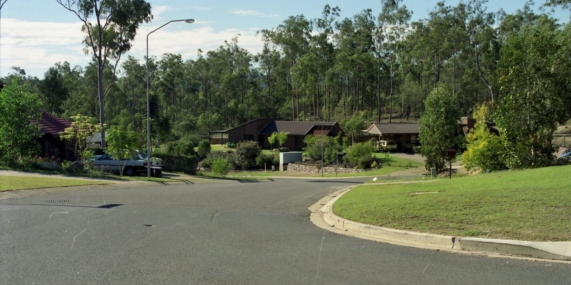 Raeside Street - Westlake - 1991