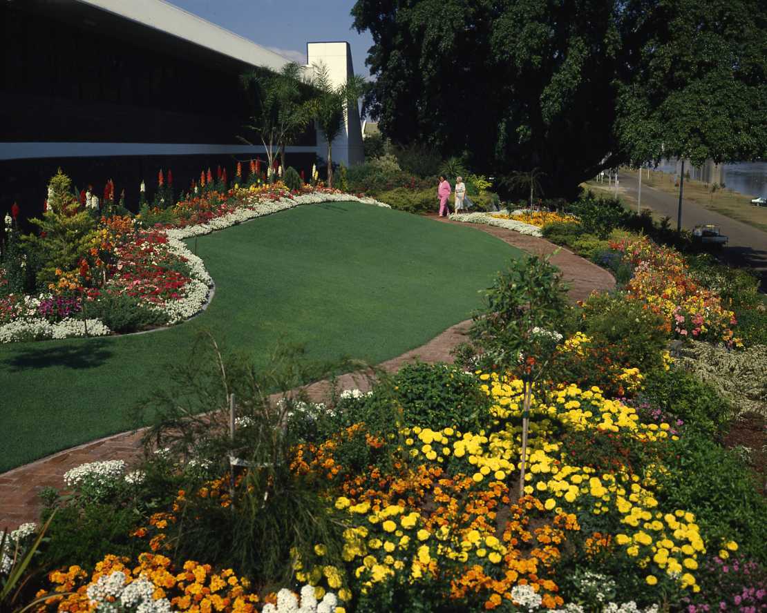Courier Mail Gardens Competition Entrant - Riverside Drive - West End - 1981