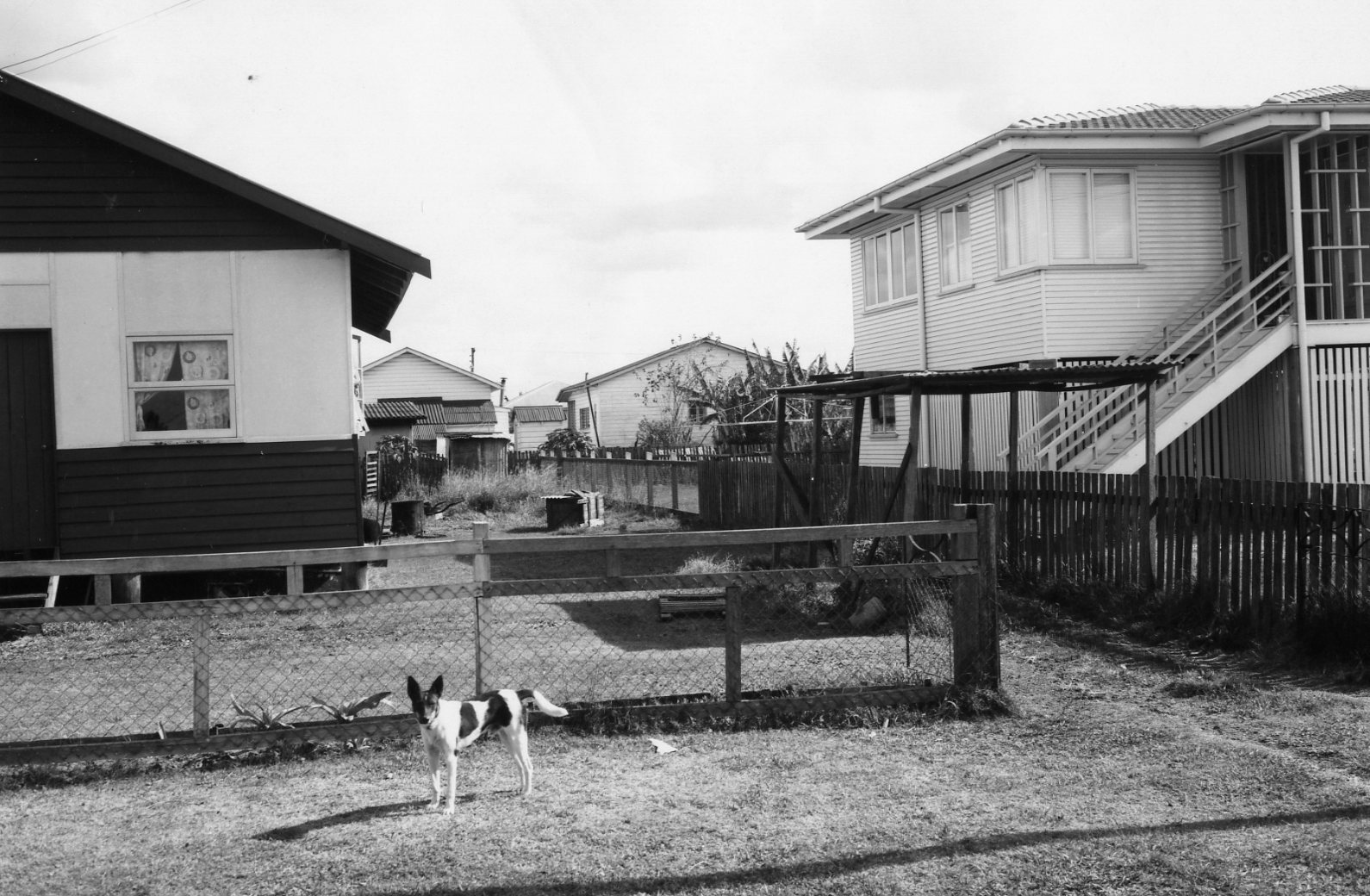 Houses in Bald Hills c1965