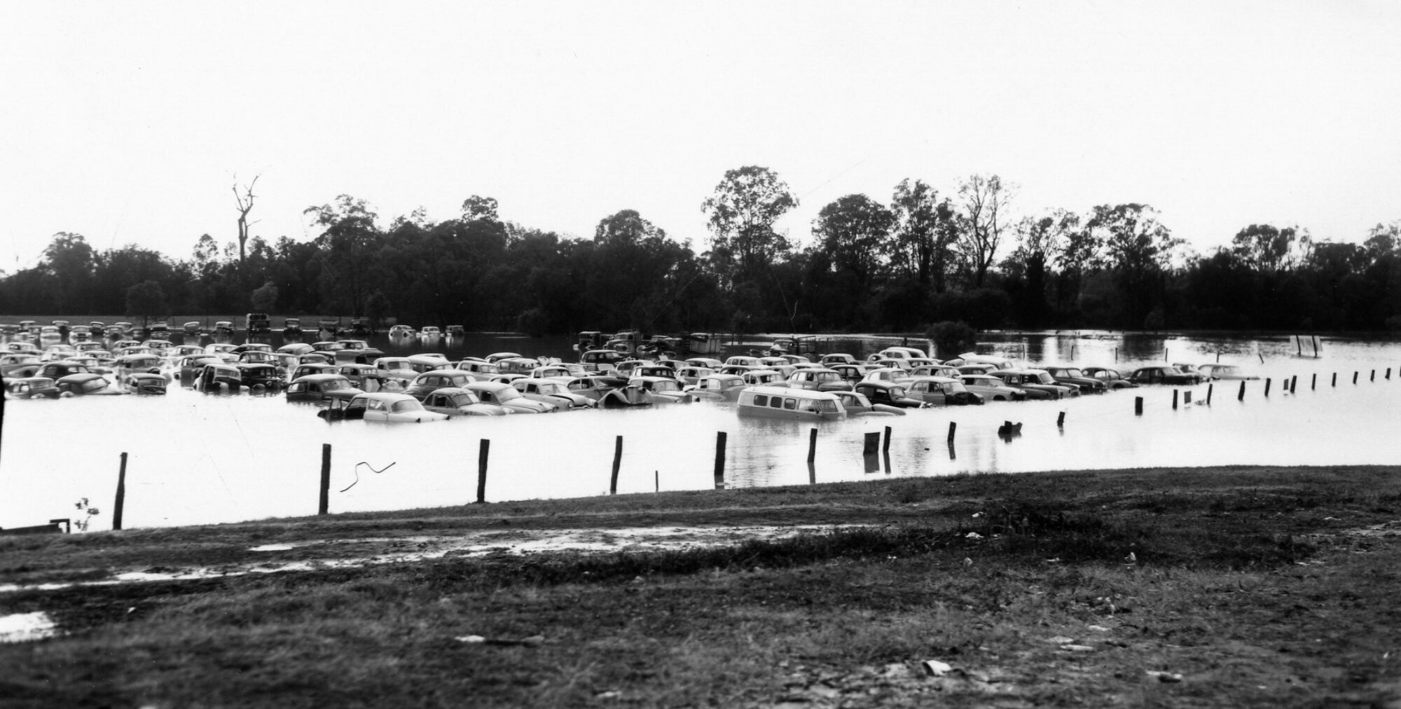 Wrecking Yard on Dollis Street, Archerfield during the Flood of 1965