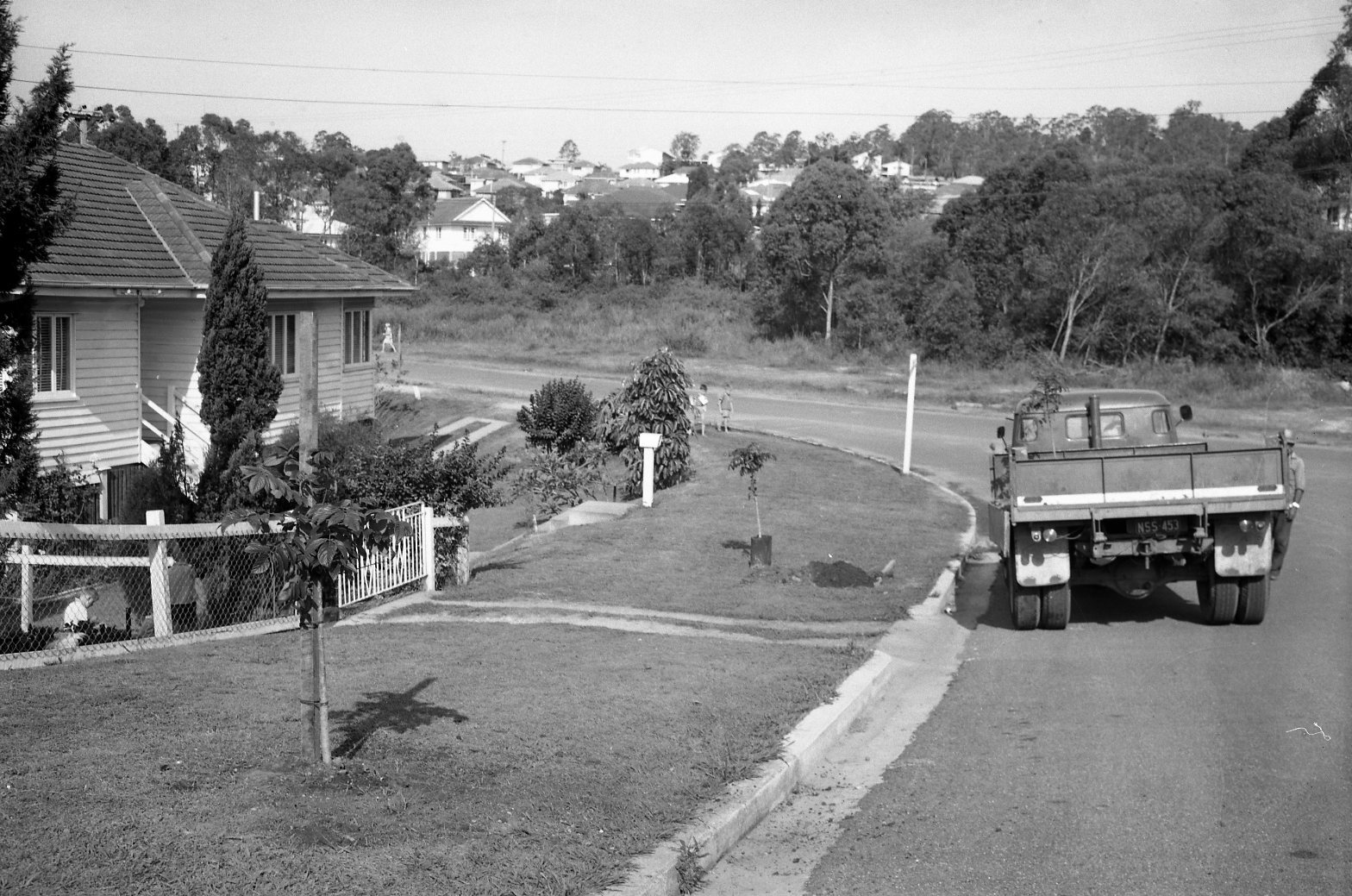 Tree Planting along Lawrie Street Footpath - Tarragindi - 1965