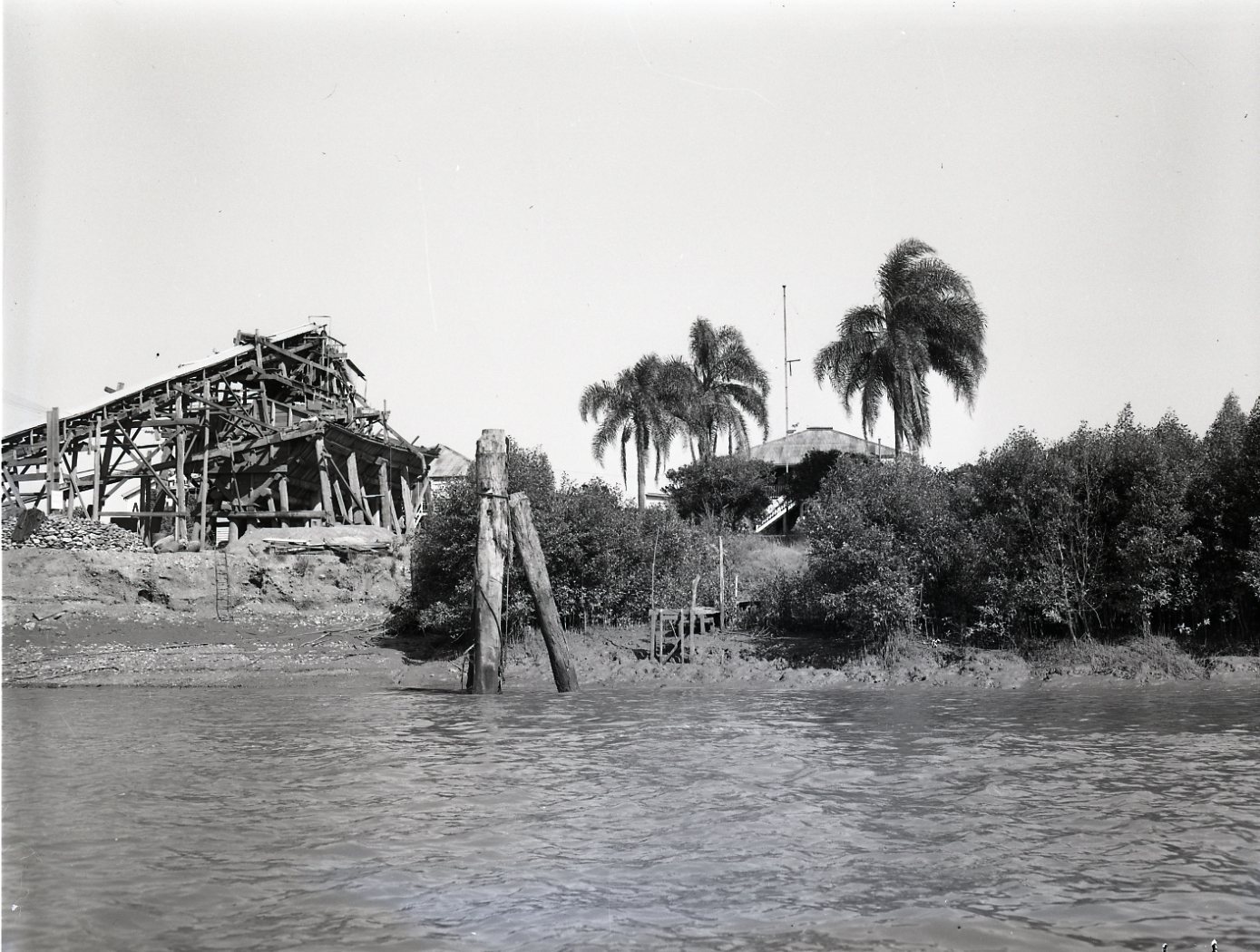 West End River Bank Viewed from Brisbane River showing Jetties and Wharves - 1951