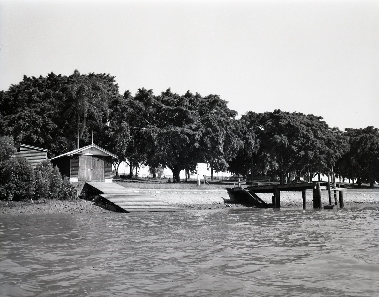 West End River Bank Viewed from Brisbane River showing Jetties and Wharves - 1951