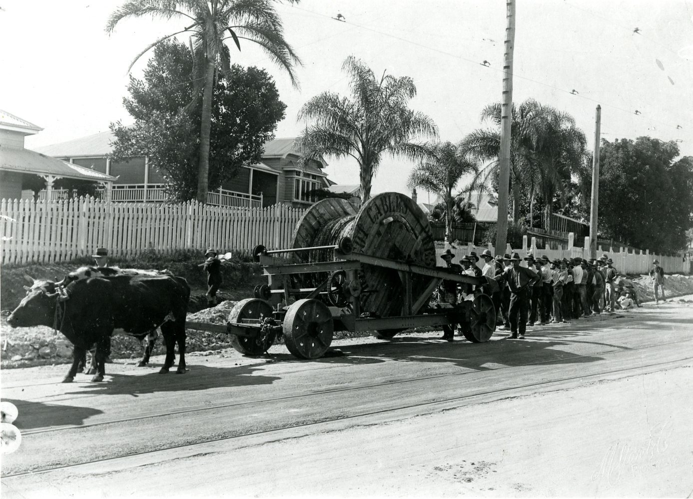 Laying Underground Electricity Wires in Wynnum Road - Norman Park - 1925
