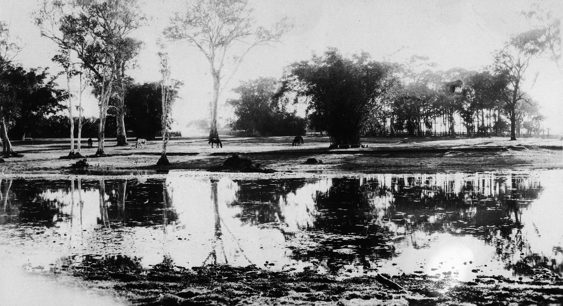 Farm Land around Nudgee Waterhole - c1930