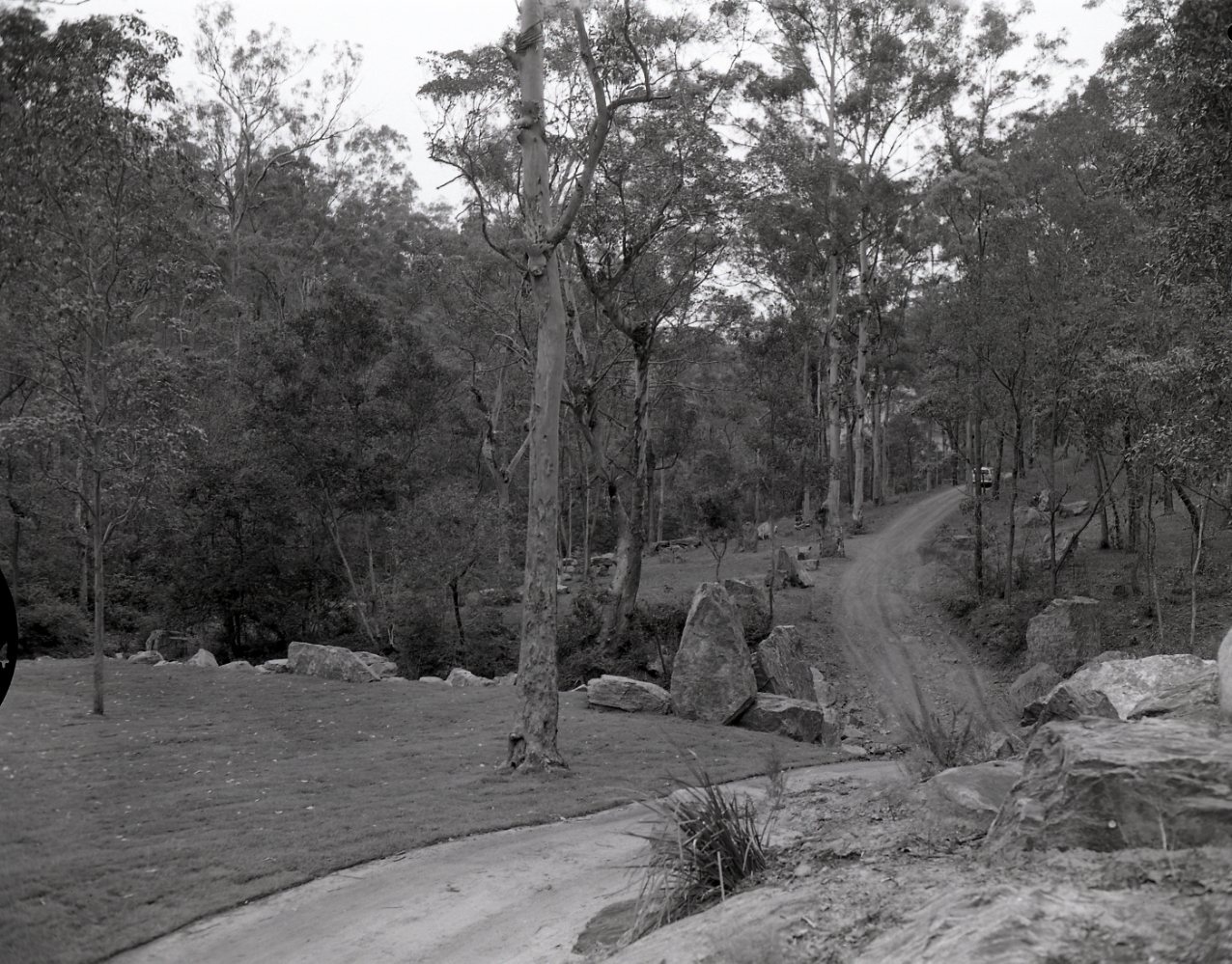Mt Coot-tha Botanic Gardens View of new Site 1971