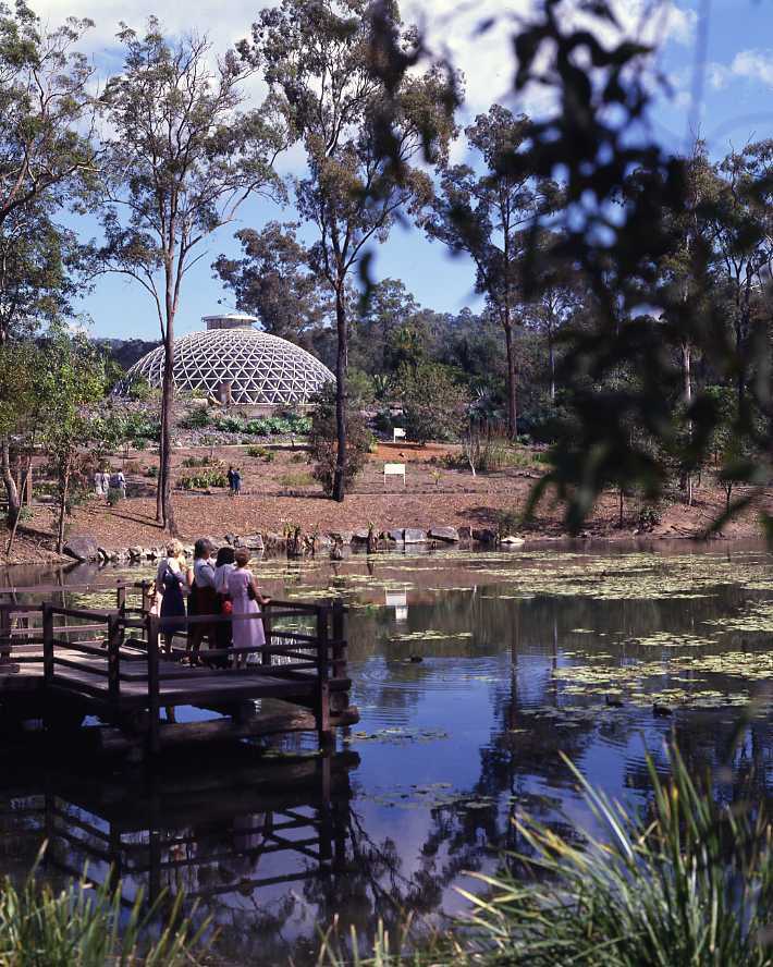 Mt Coot-tha Botanic Gardens - View across Lagoon towards Tropical Display Dome - 1983