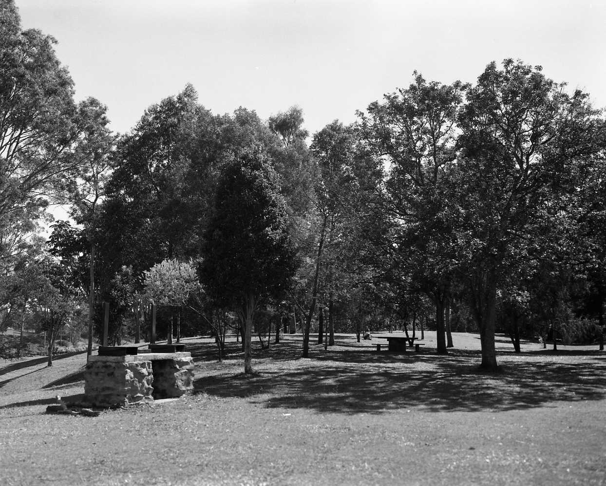 Sherwood Arboretum - New Picnic Area 1978