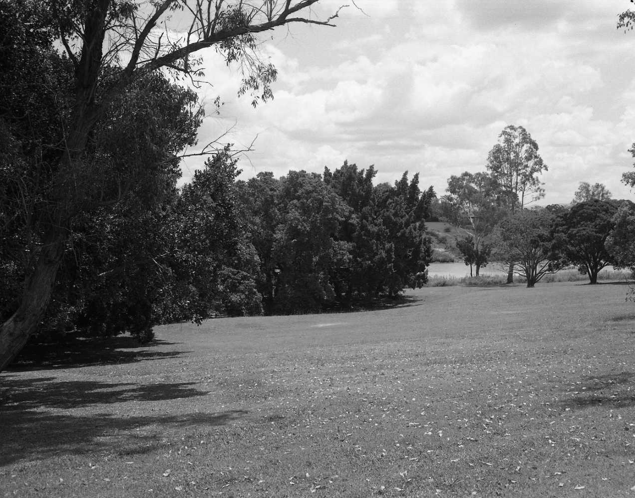 Sherwood Arboretum - 1975