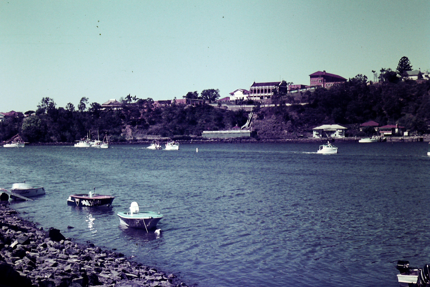Warana Festival Water Activities - Boats on River off New Farm Park - 1967