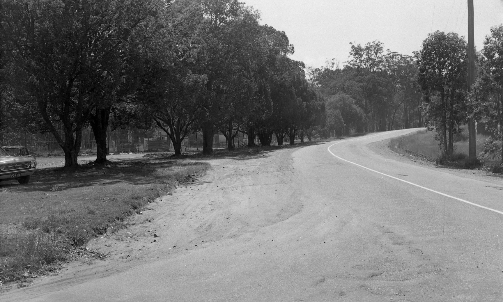 Mt Coot-tha Road - Looking towards site of Botanic Gardens 1969