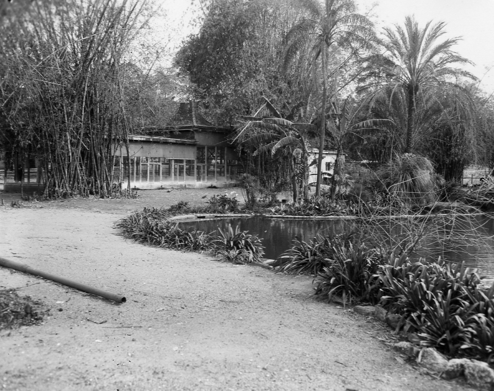 Zoo Cages - City Botanic Gardens - 1958