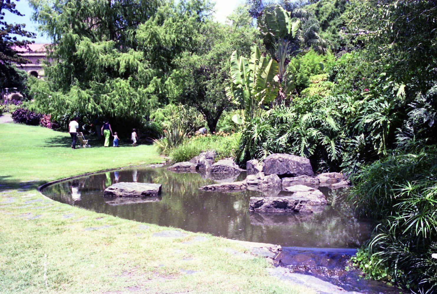 Lagoon in City Botanic Gardens - 1976