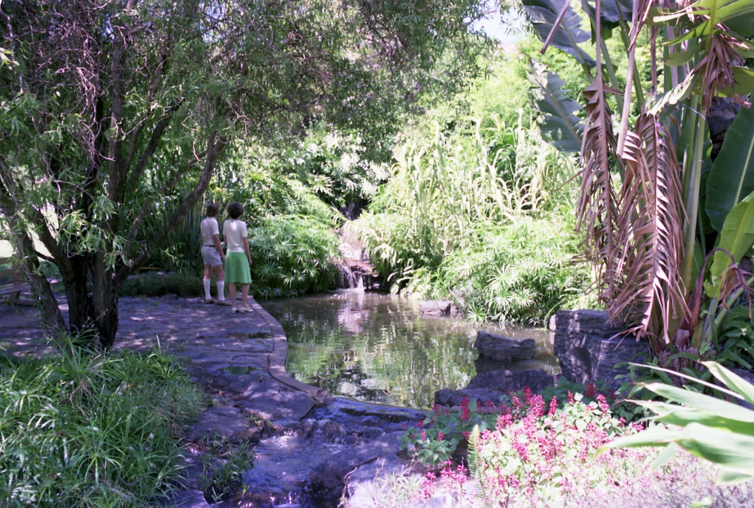 Lagoon in City Botanic Gardens - 1976