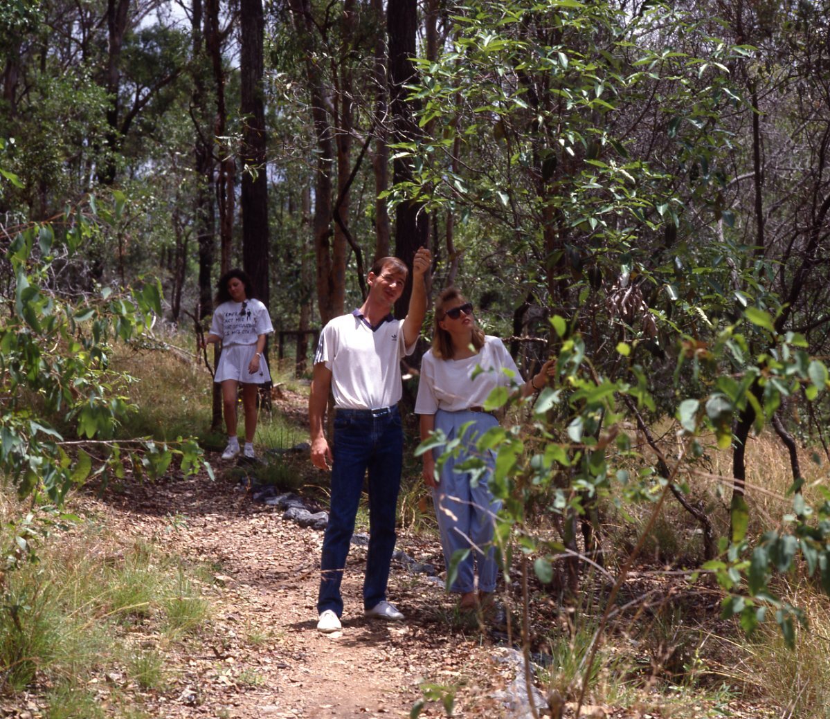 Toohey Forest Park Reserve - Nathan - 1993