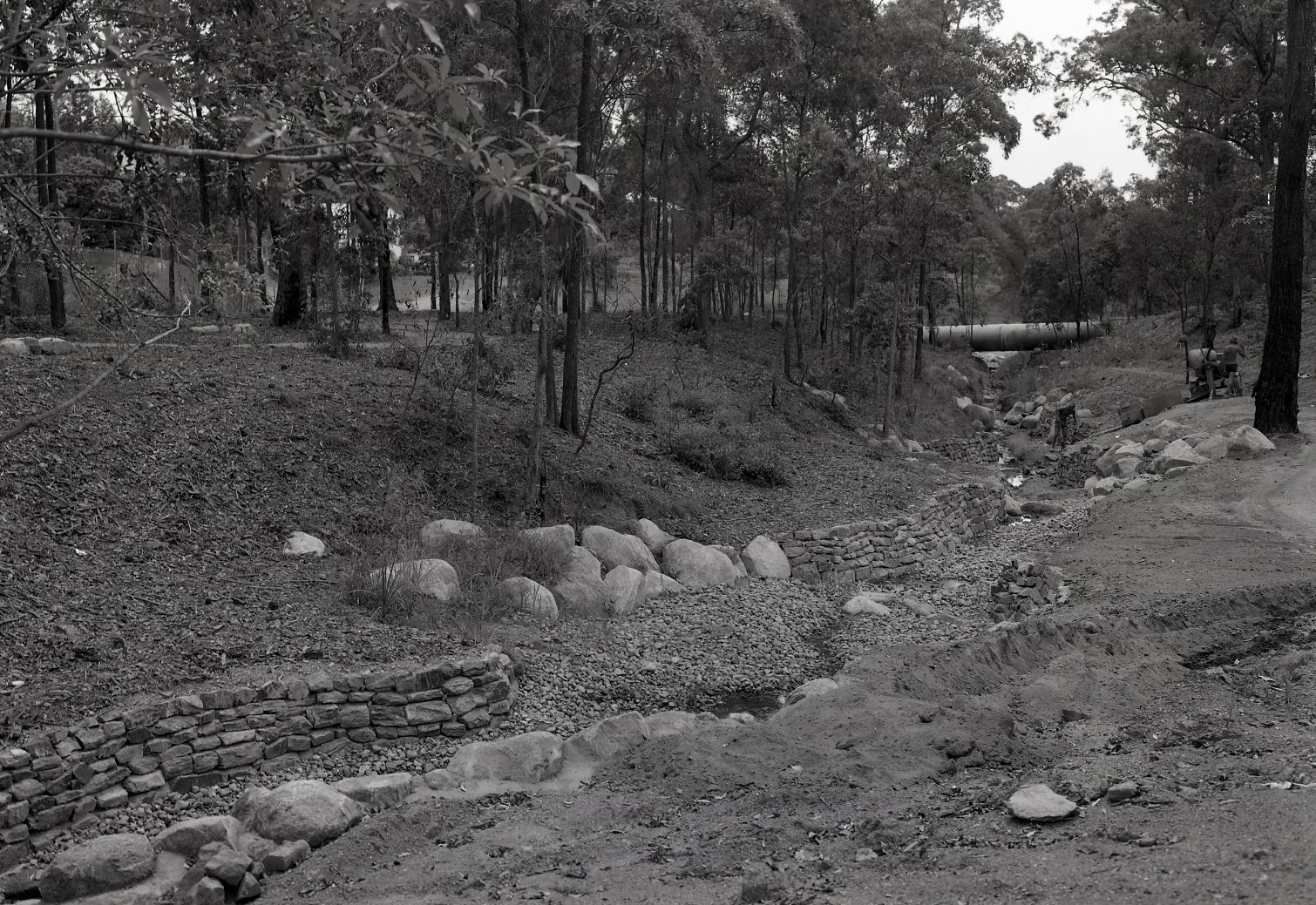 Brisbane Botanic Gardens - Australian Native Area Construction - Mt Coot-tha. - 1977