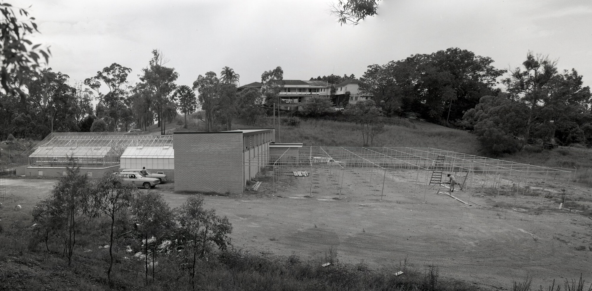Brisbane Botanic Gardens Mt Coot-tha Nursery Construction1977