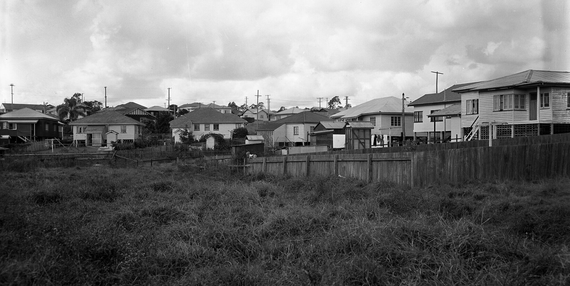 Houses on Brisbane Corso - Yeronga - 1951