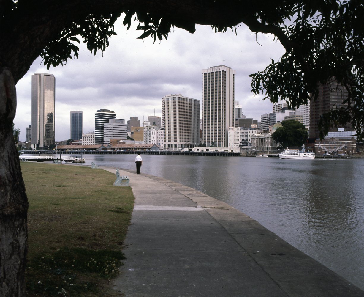 View of City Buildings from Captain Bourke Park.