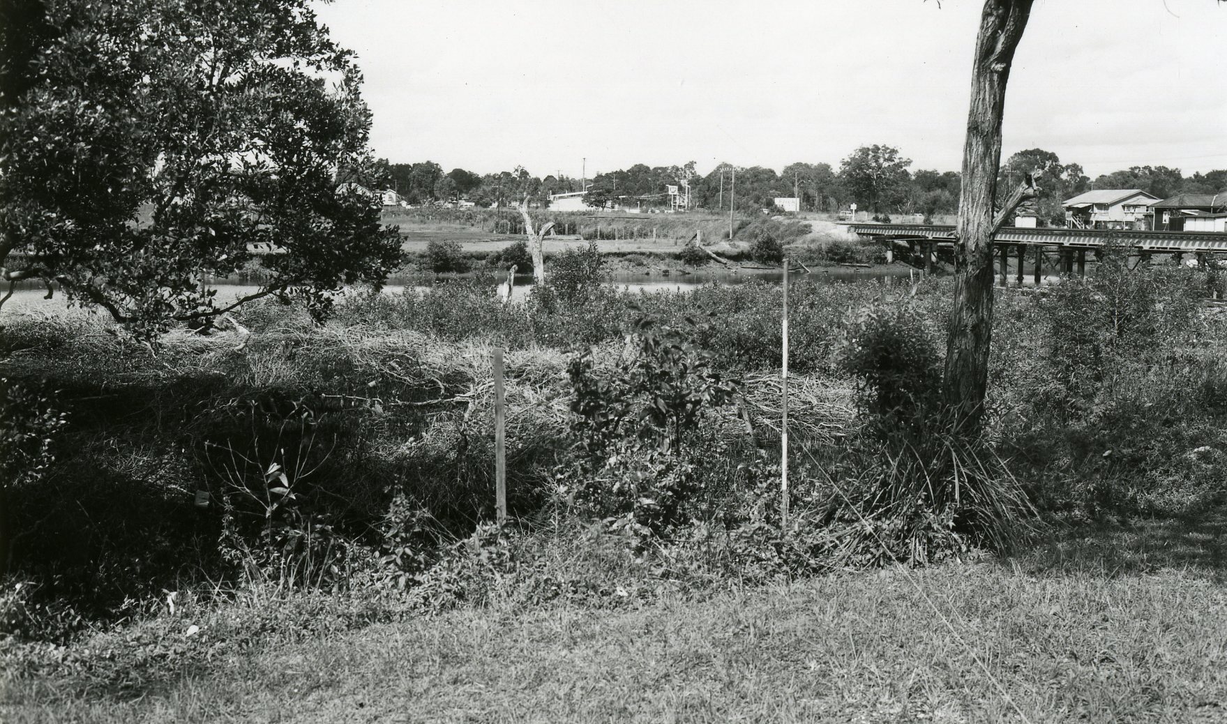 Railway Bridge over Cabbage Tree Creek from Deagon to Boondall - 1964