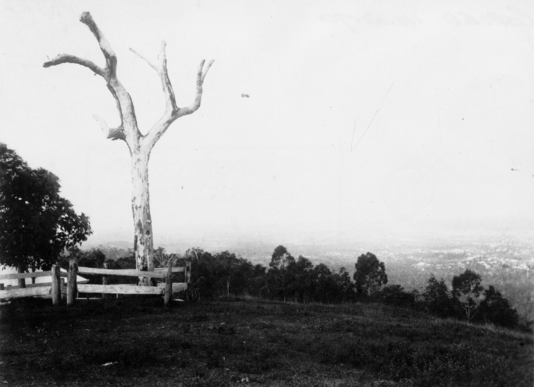Mt Coot-tha - One Tree Hill - 1900