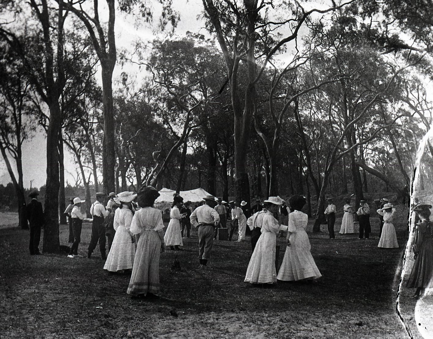 Picnic at Nudgee Beach - 1907