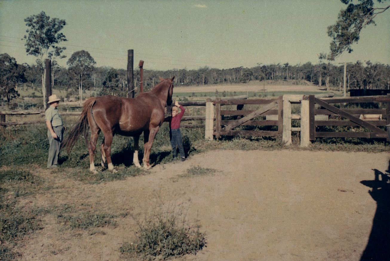Image of Horse yards Henson Family farm area now near Tetra Place, Algster
