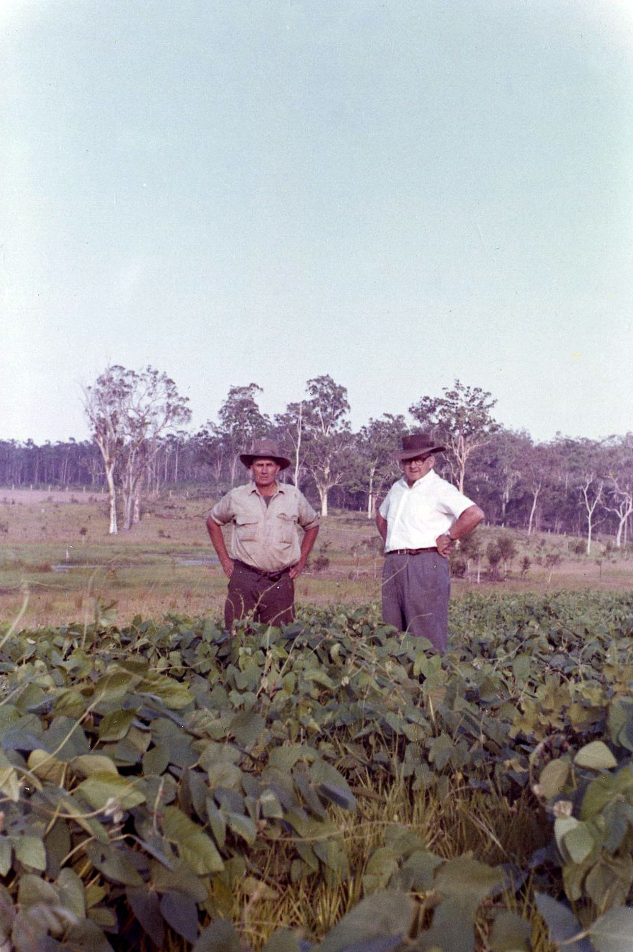  Image of Henson Family farm Pea Crop