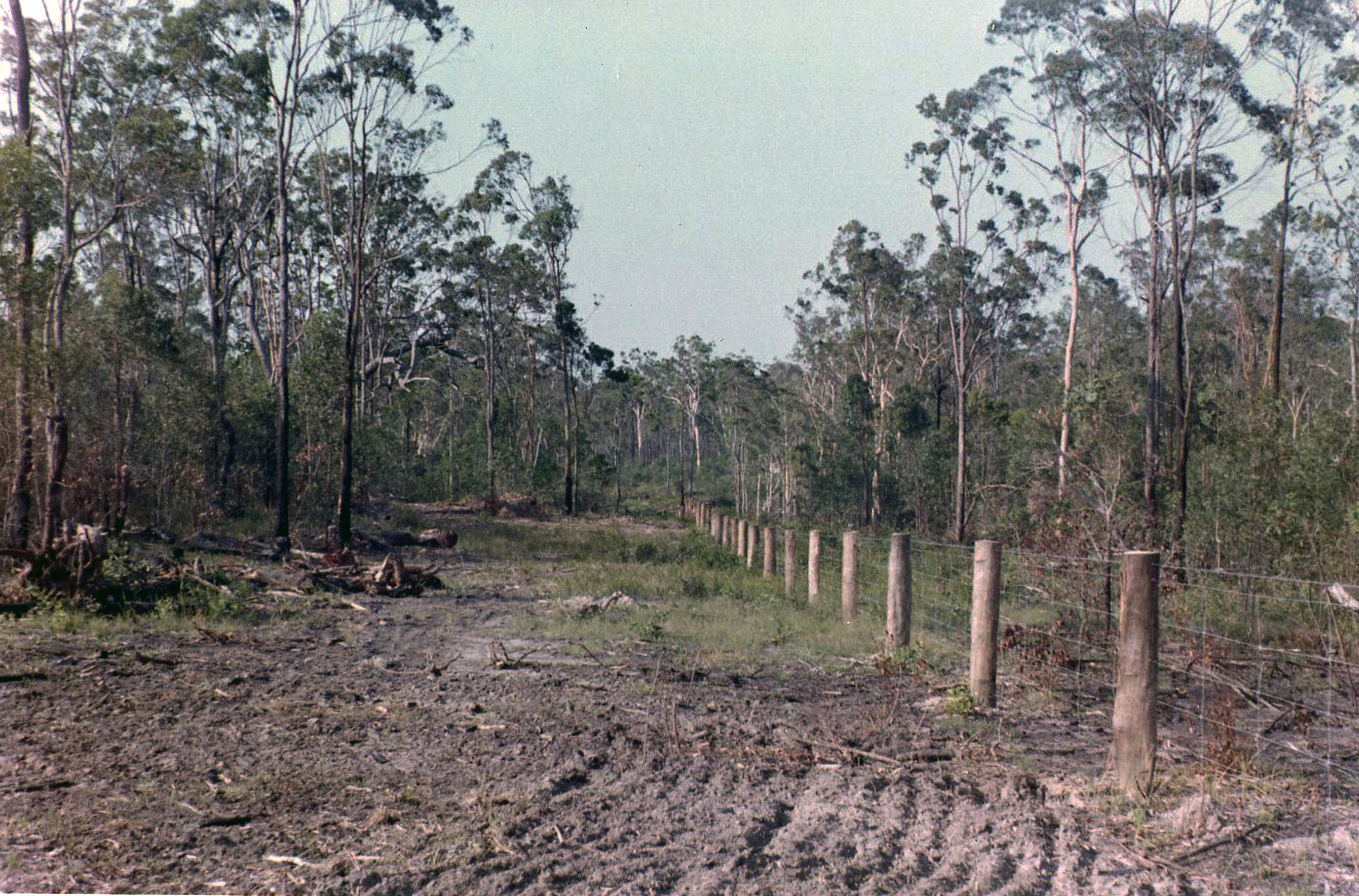 Image of Henson Family farm area near Algester road
