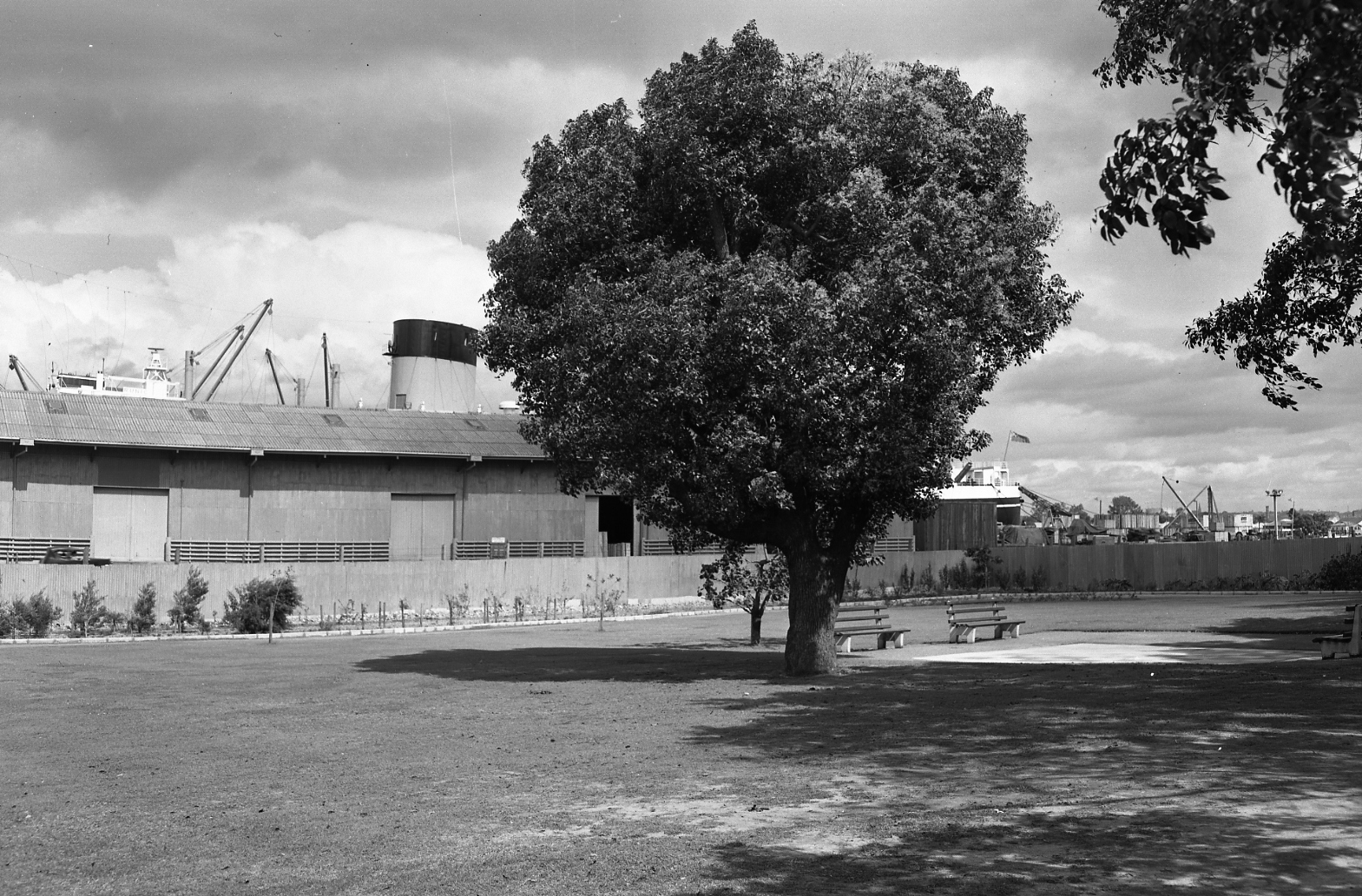 Hamilton Park - Hamilton - 1950