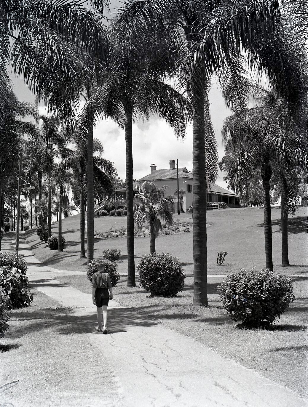 Newstead Park - 1950
