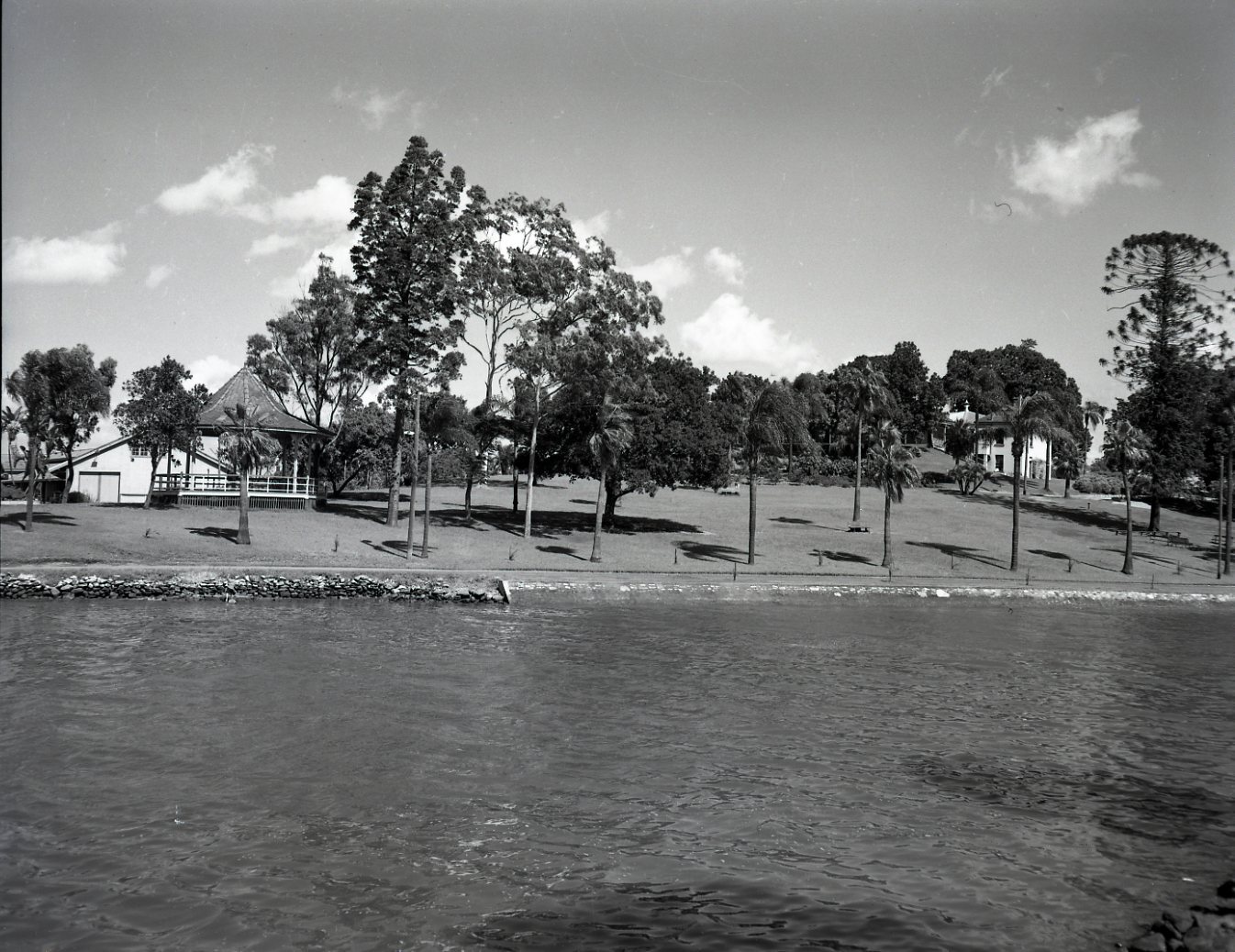 Newstead Park from Brisbane River - 1950