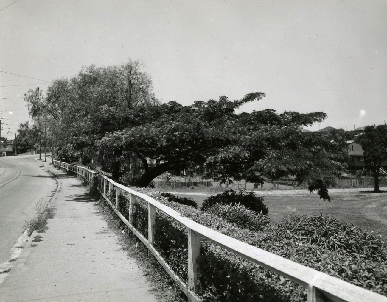Kelvin Grove Road and Bancroft Park 1950