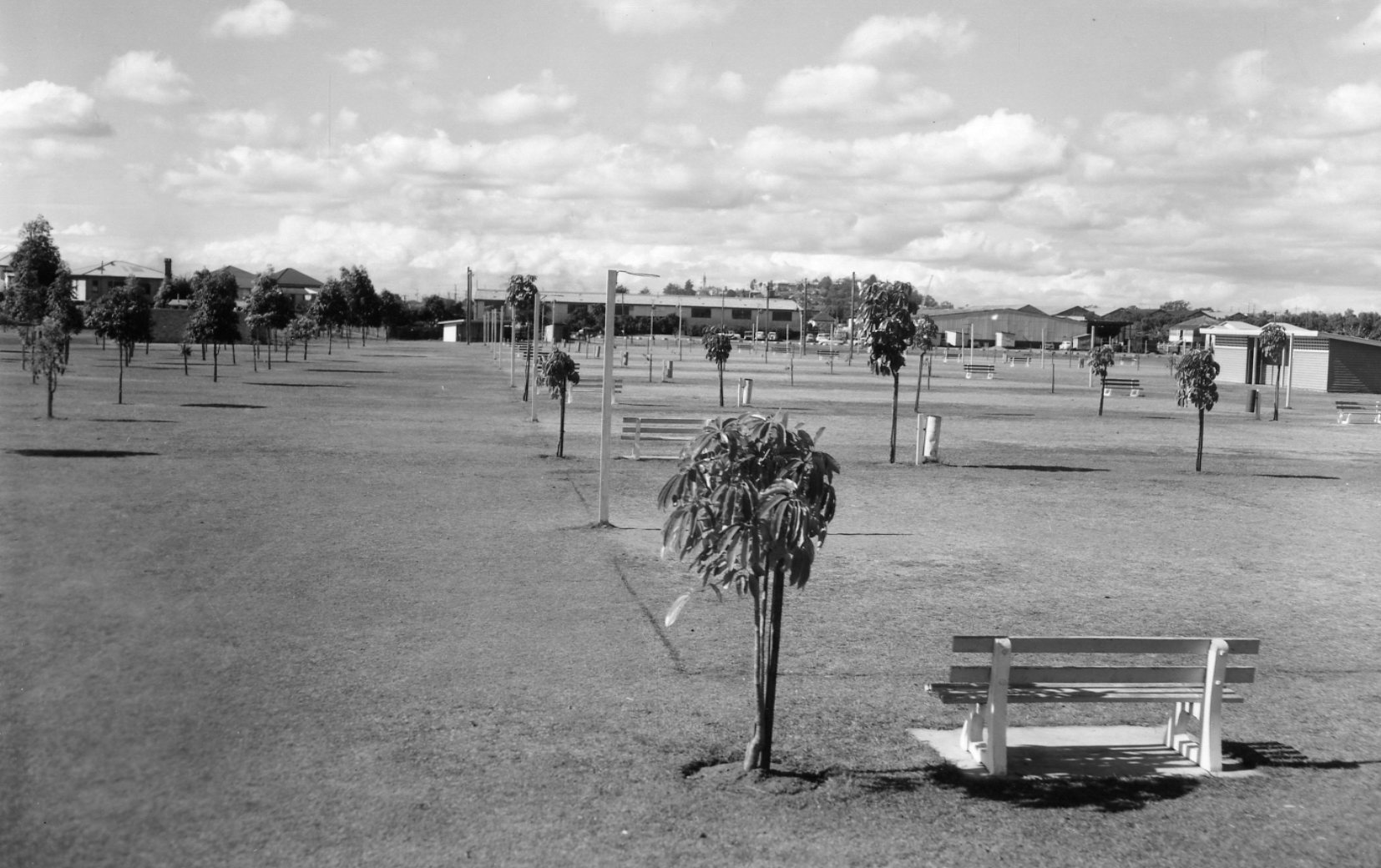 Downey Park - Windsor - 1960