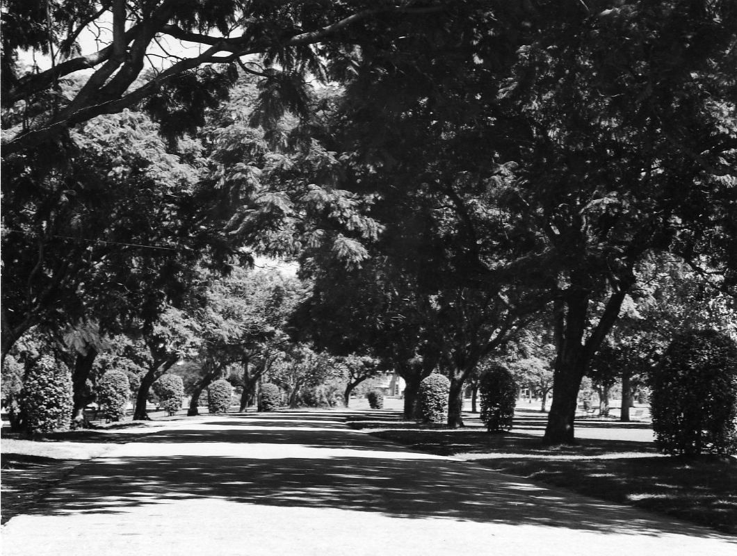 New Farm Park - 1949