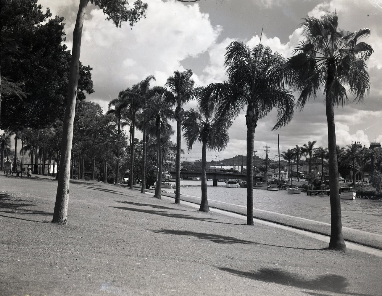 Newstead Park 1949