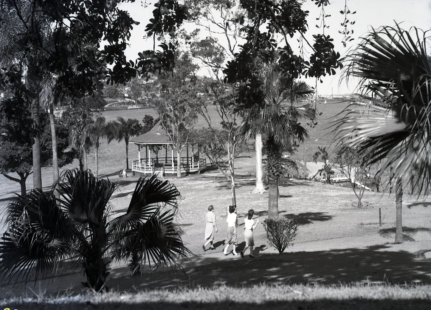 Newstead Park - 1949