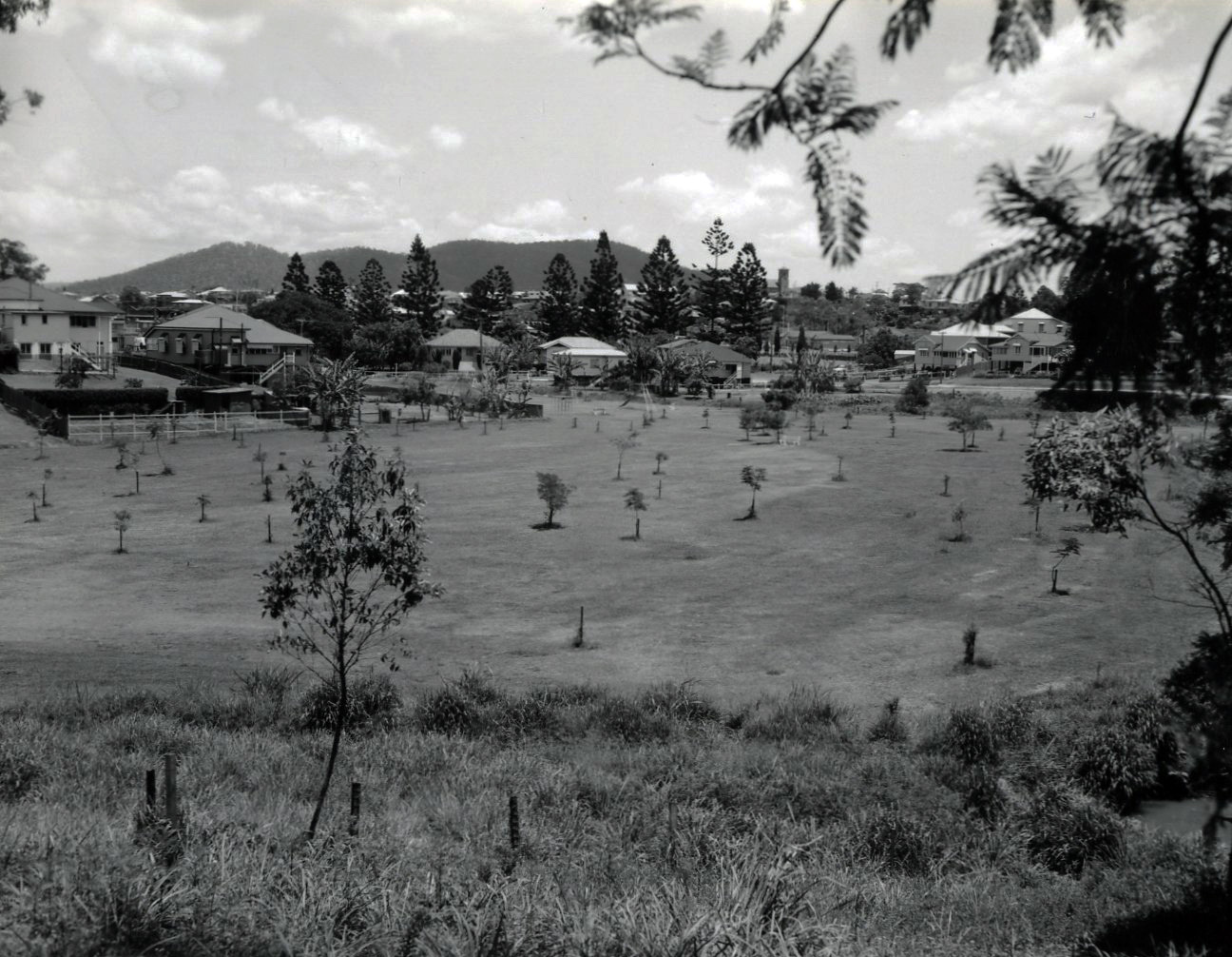 Woolcock Park - Red Hill - 1960