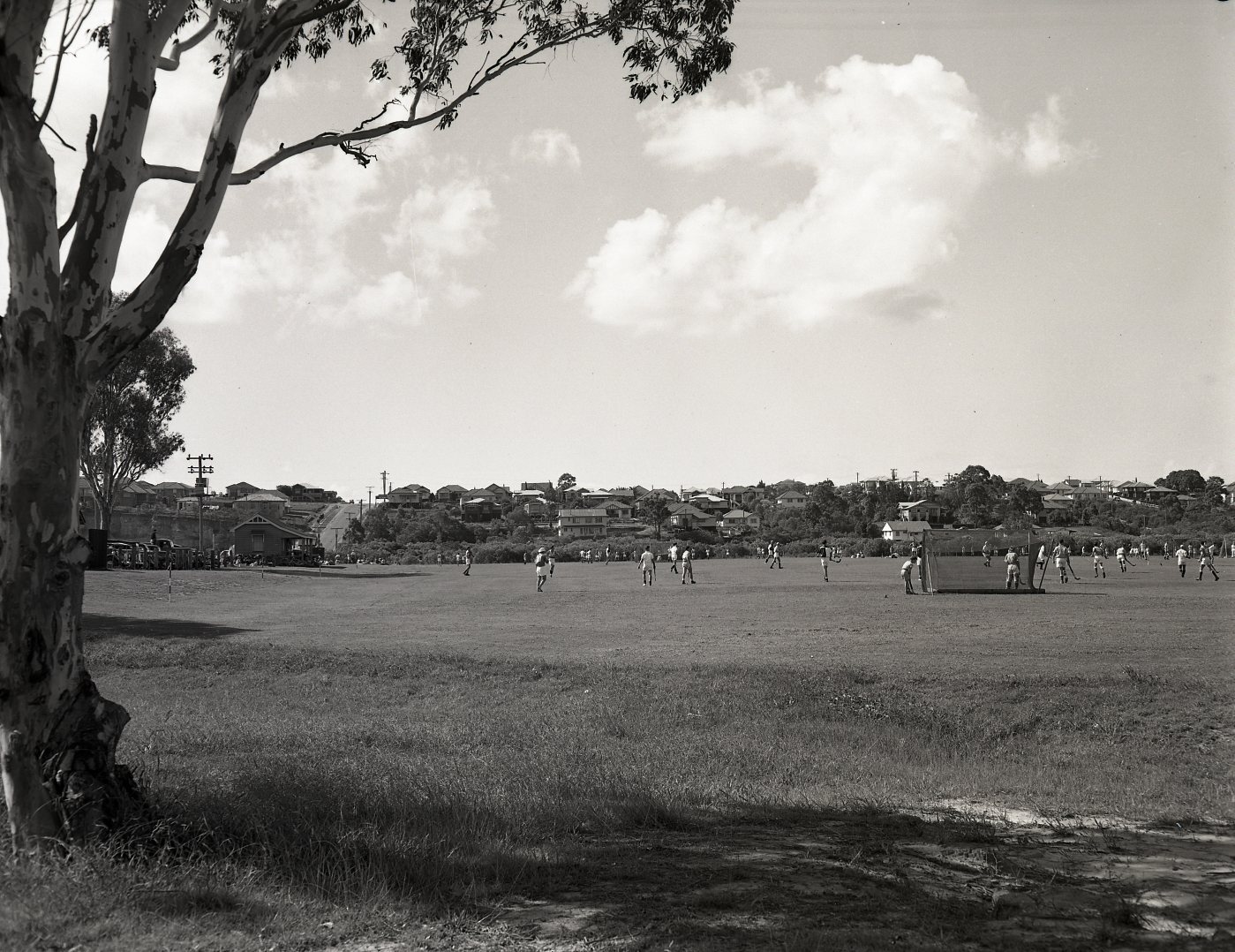 Shaw Park - Wavell Heights 1953