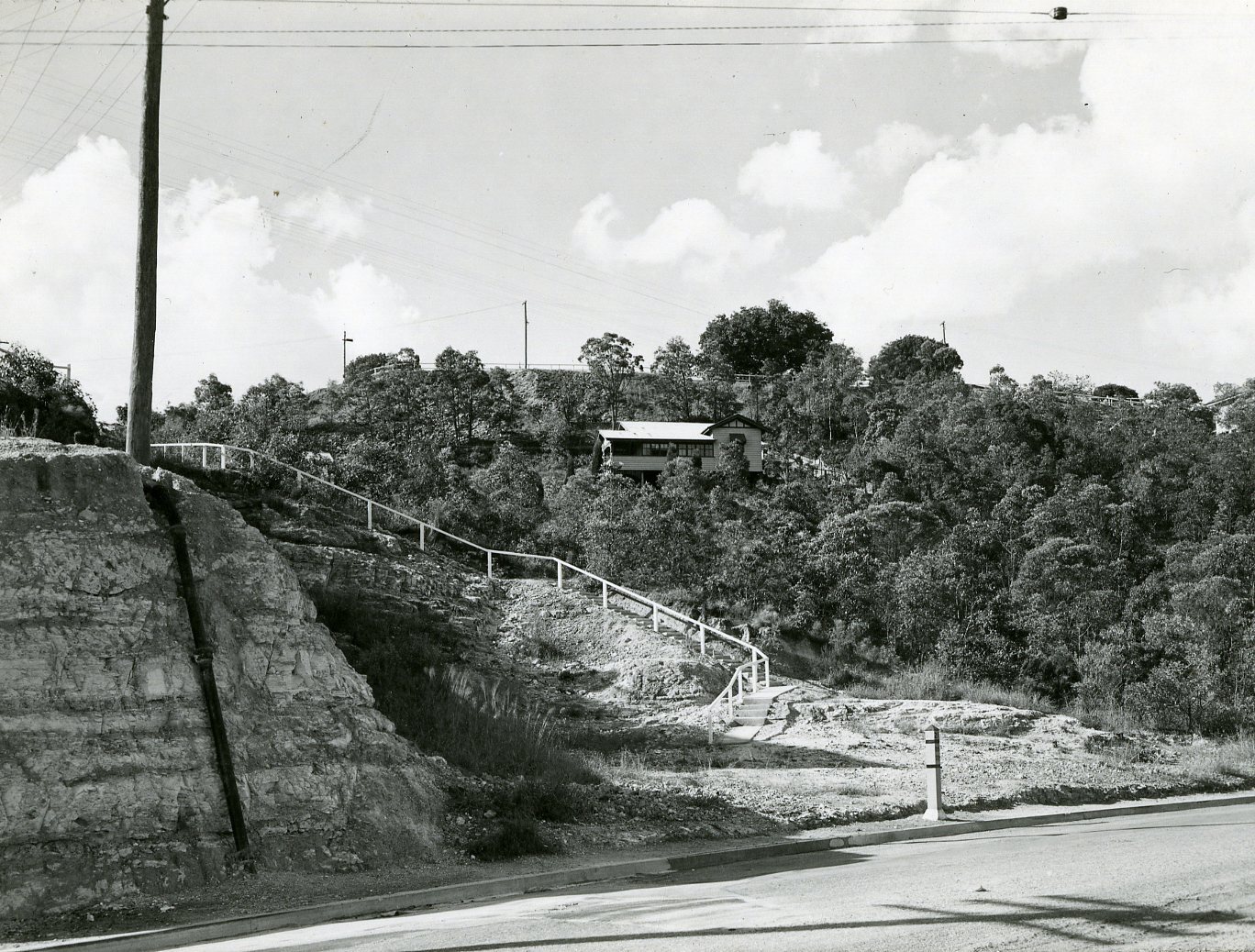 Bartley's Hill Reserve - Ascot