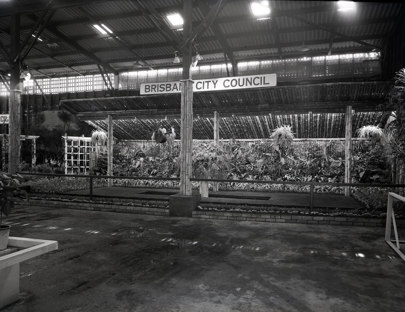 EKKA - Brisbane City Council Horticulture Exhibit - 1951