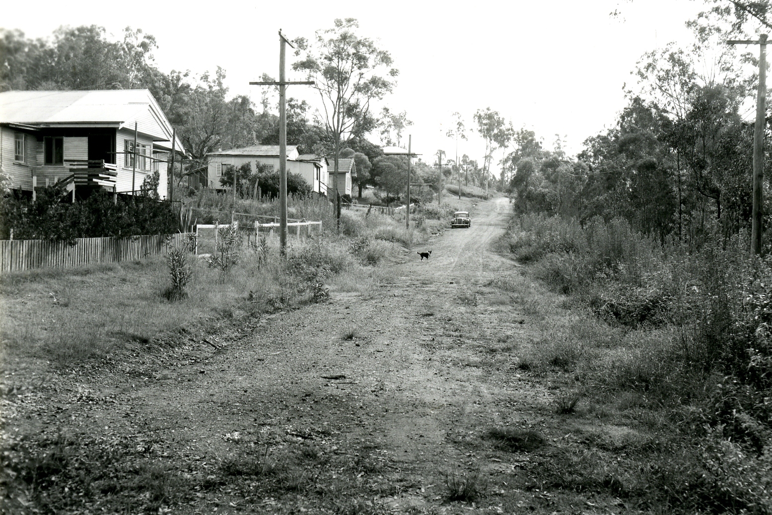 Mascot Street - Upper Mt Gravatt - 1958