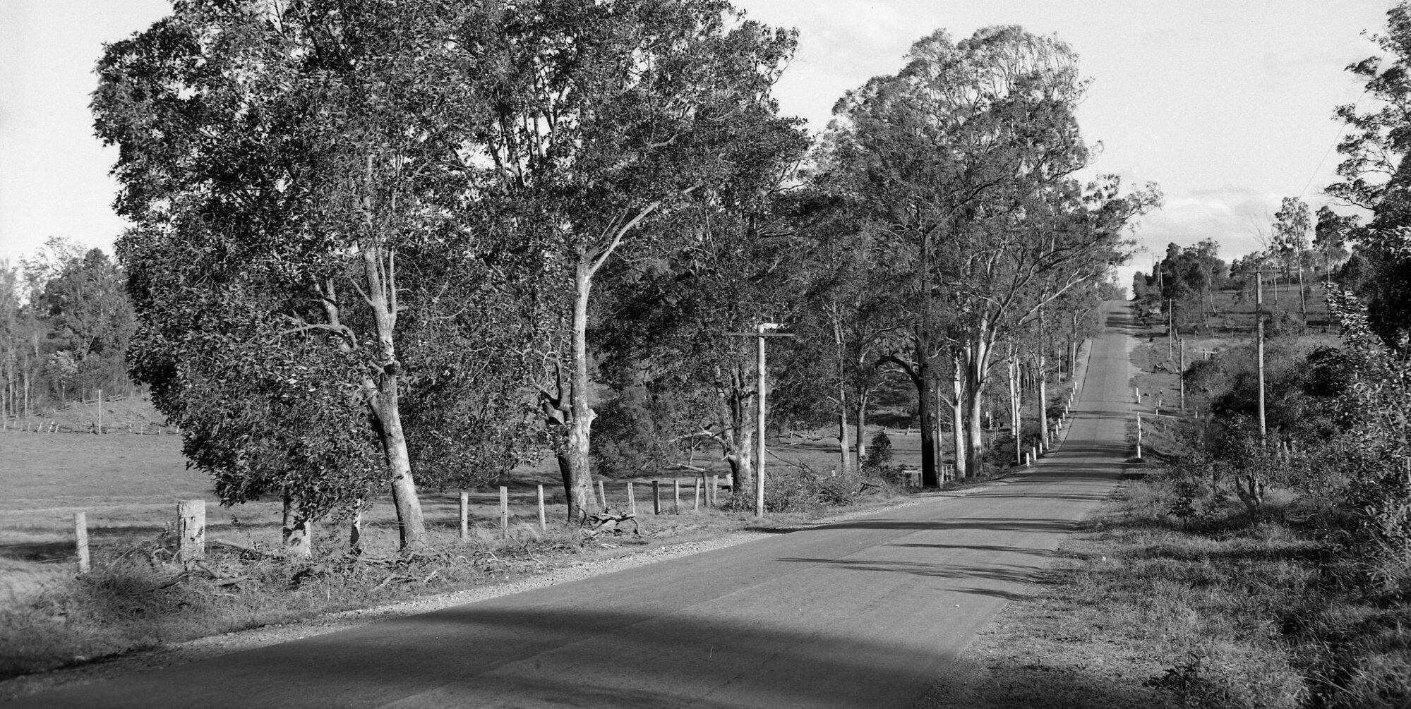 Creek Road Carina Heights c.1951