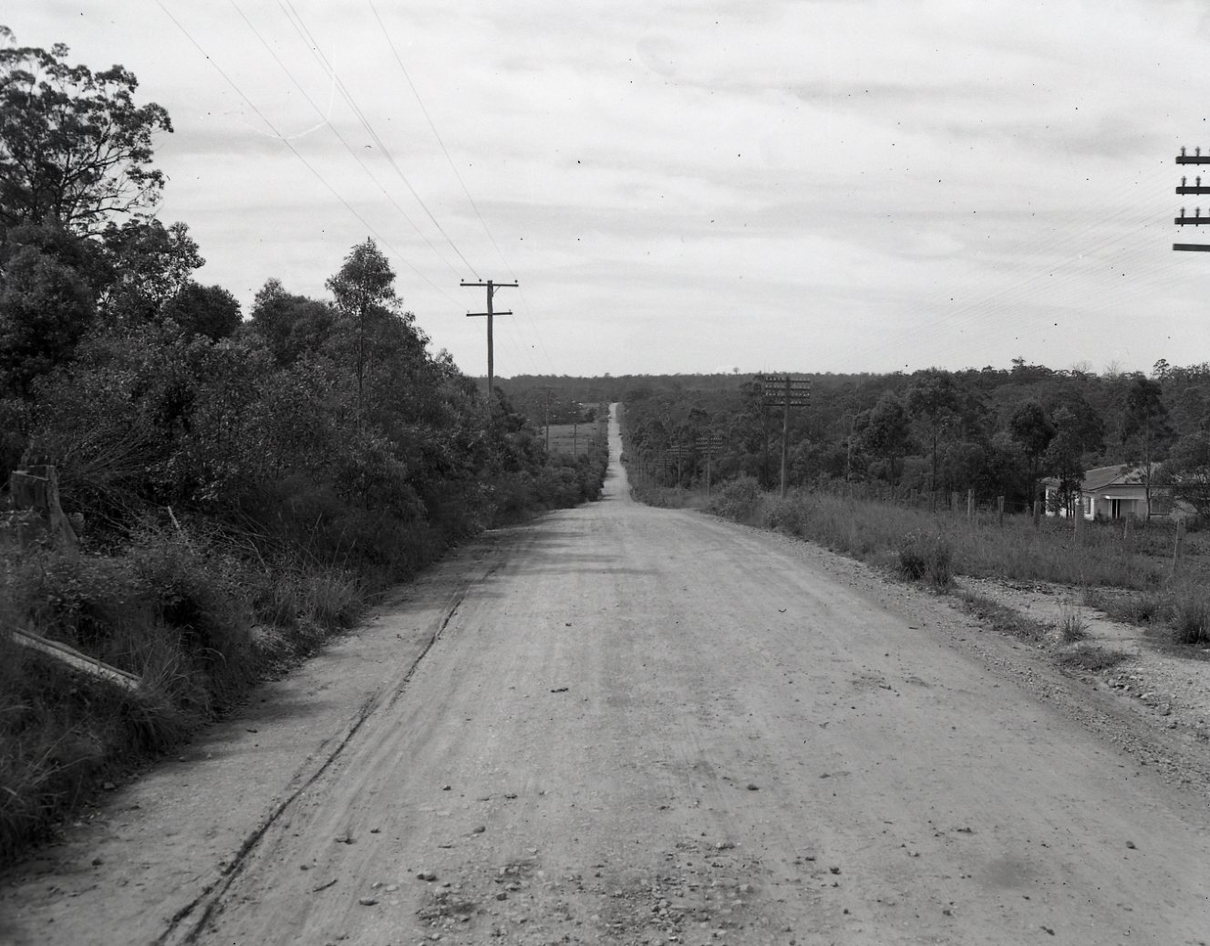 Mt Gravatt 1951