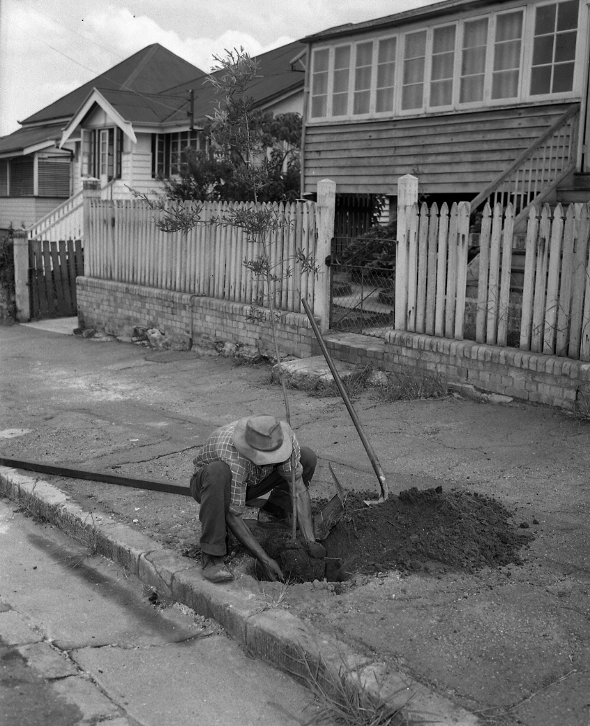 Arthur Street - Teneriffe - 1964