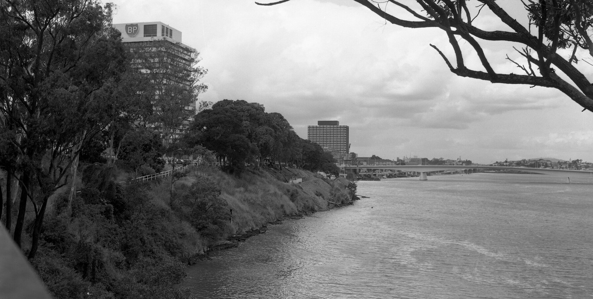 Brisbane River Bank from William Jolly Bridge To Victoria Bridge - 1972