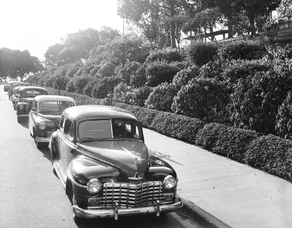 Taxis Parked in Albert Street Along Wickham Park - 1953