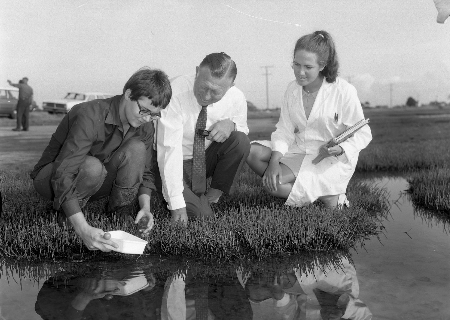 Mosquito Control by Aerial Spraying with Light Plane - Lord Mayor Clem Jones Inspecting the Process - Nudgee - 1970