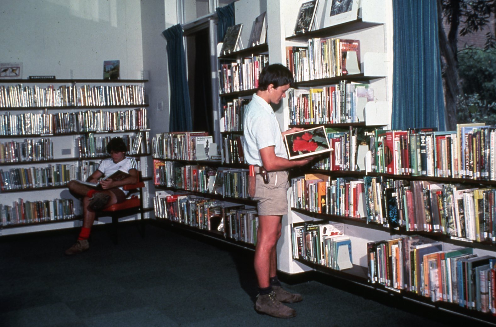 Mount Coot-tha Library - Interior View - 1985