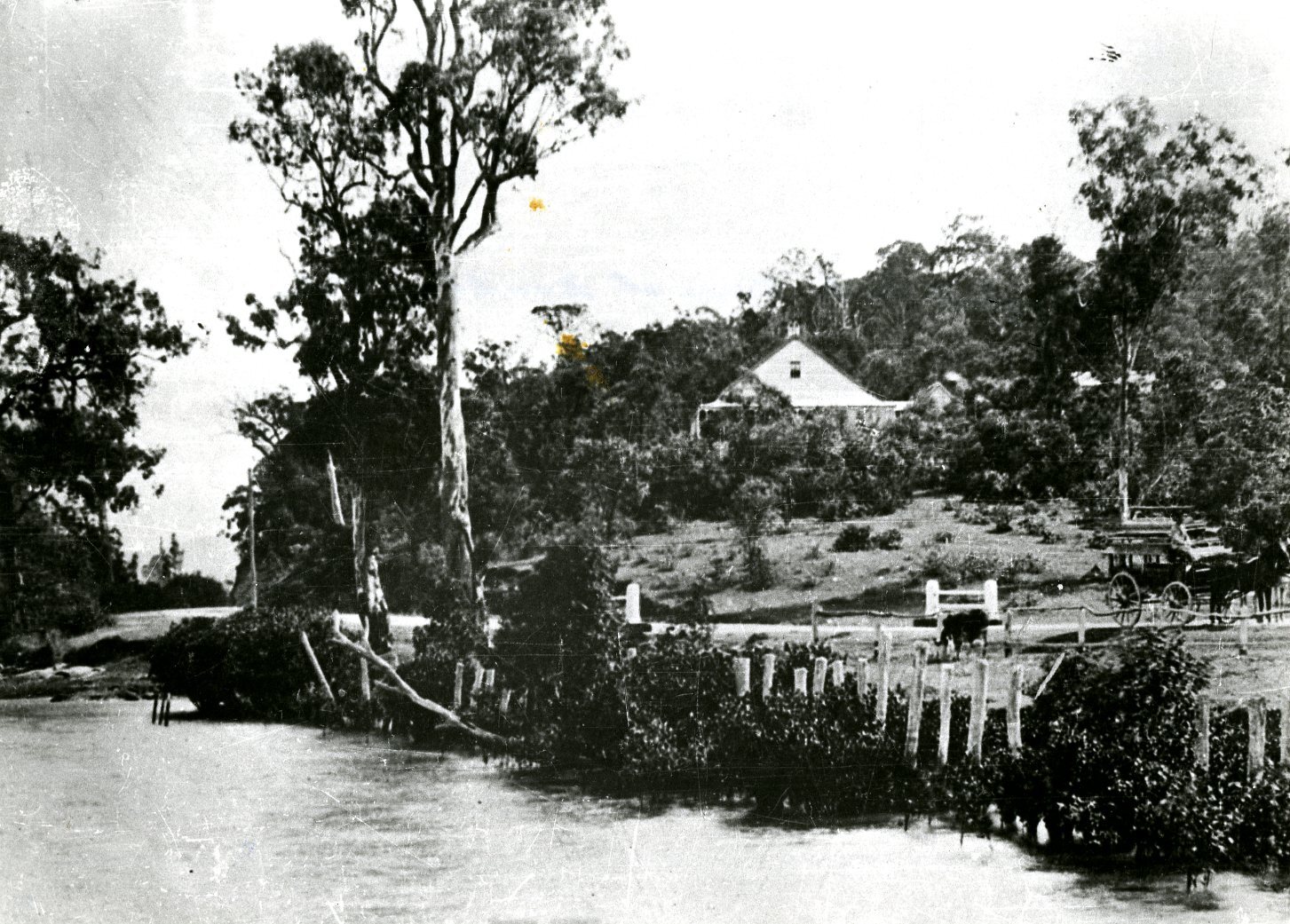 Kingsford Smith Drive - Hamilton - Cobb and Co Coach at Stop - 1882
